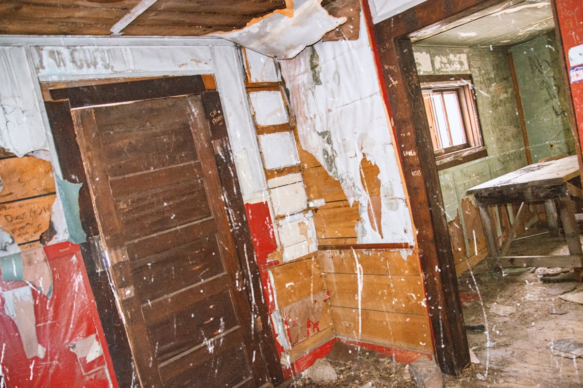 Mold Remediation service in Hoboken, NJ